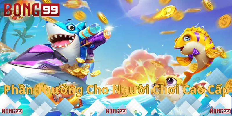 Chế độ chơi đơn giúp người mới dễ dàng làm quen